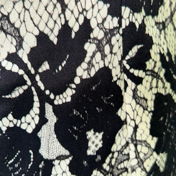 Milly of New York Genevieve Cream Black Lace Illusion Mini Slip Dress - 6 - Picture 11 of 16